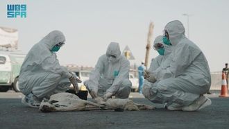 مكة تعزز مكافحة الأمراض