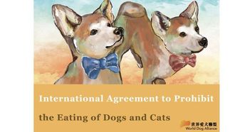 US Bill Bans Eating Dogs, Cats