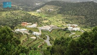 عسير تتحول إلى اللون الأخضر بعد هطول الأمطار