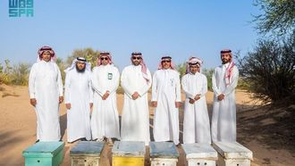 مبادرة تمكين تربية النحل