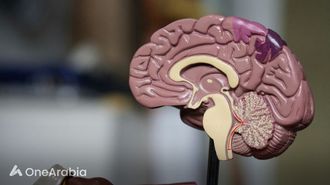 تم العثور على منطقة الدماغ للإيثار