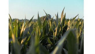 Major CO2 Removal Project Launched