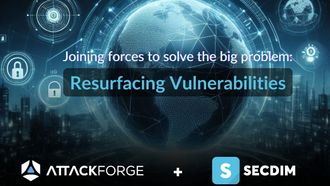 Solving Recurring Security Flaws