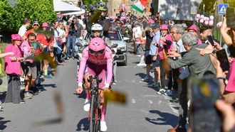 بوجاكار، أوليسي يتفوقان في السباقات