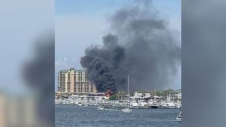 Destin Unites For Tailfins Rebuild