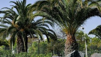 Eco-Friendly Building Patent For Omani Team