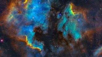 هل تصبح السيارات الكهربائية 