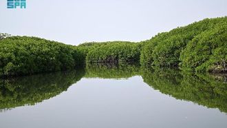 جزر فرسان: مركز سياحي