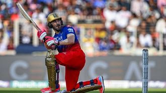 RCB's Winning Streak Continues In IPL