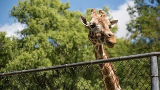 Leading Sustainable Tourism At ATM 2024