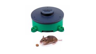 LymeShield Launched Against Lyme Disease