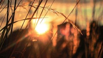 روسيا.. العلماء يرصدون توهجا شمسيا قويا