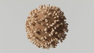 سلالات كوفيد الجديدة تثير قلقًا عالميًا