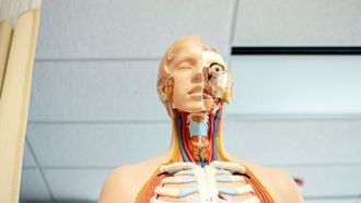 هيدروجيل يمنع التليف في أجهزة تنظيم ضربات القلب