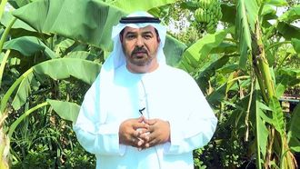 تحويل النفايات إلى سماد