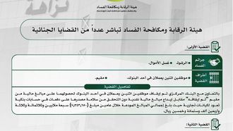 هيئة مكافحة الفساد تباشر القضايا الجنائية