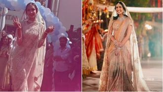 Viral Ambani Wedding Recreation