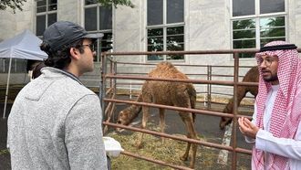 يوم جواز السفر في السفارة السعودية