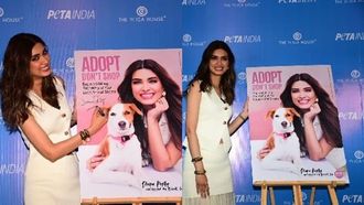Penty Supports Pet Adoption