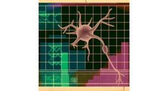 Quantum Neuron Rejuvenation By Karakuş