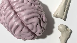 الكشف عن طريقة الكشف السريع عن السكتة الدماغية