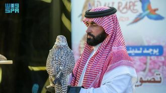 Taif Festival's Avian Wonders