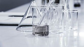 المواد البلاستيكية الدقيقة السامة في أنسجة الخصية