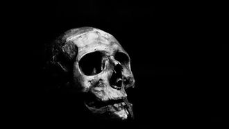 بريطانيا توقف بيع الجماجم المصرية