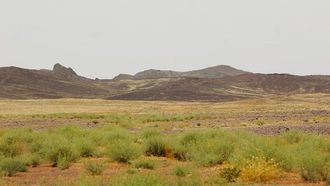 أم وعل: من طريق الحج إلى المعلم