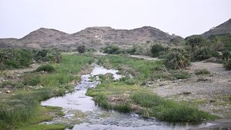 اكتشف وادي الفاتحة بجازان