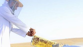 المحمية الملكية تحتفل بيوم النحل