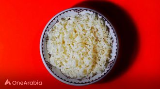 ‘Meaty Rice’ Aims To Change Global Protein