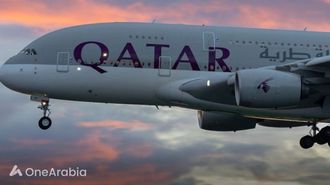 2024's Top Airlines Revealed