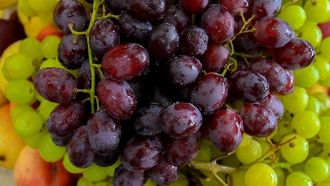 صيف الزراعة الاحتفالي في الباحة