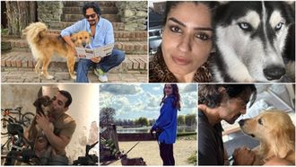 Bollywood Actors And Their Love For Dogs