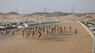 الإعلان عن الفائزين بسباق المفارِد 2024