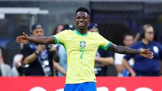 Vinicius: Patience Key For Brazil