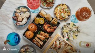 برانش فندق العنوان سكاي فيو دبي