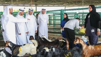 الإمارات العربية المتحدة تستعد للعيد بخطة سلامة الحيوان