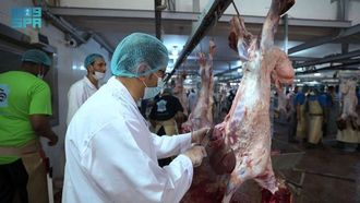 العيد في الرياض: معالجة 24 ألف حيوان