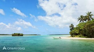باقة شاطئ عيد الأضحى في منتجع دانات