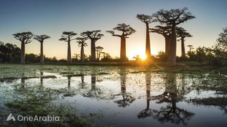 Emirates' New Madagascar Route