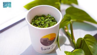 التوعية البيئية في المدارس