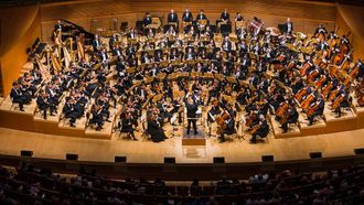 FOOSA 2024: Summer Orchestra Program