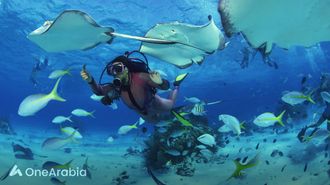 Underwater Dining In Maldives