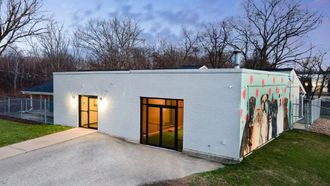 Dogs Hotel Hits Adoption, Volunteer Highs