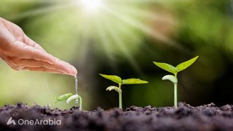 الزراعة المائية.. مستقبل الزراعة