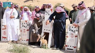 إطلاق مجلس Ibex Reserve الجديد