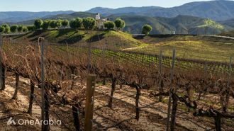 تيميكولا: ملاذ الطهي ذو المناظر الخلابة