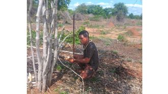 Relocation Effort Protects Madagascar's Nature